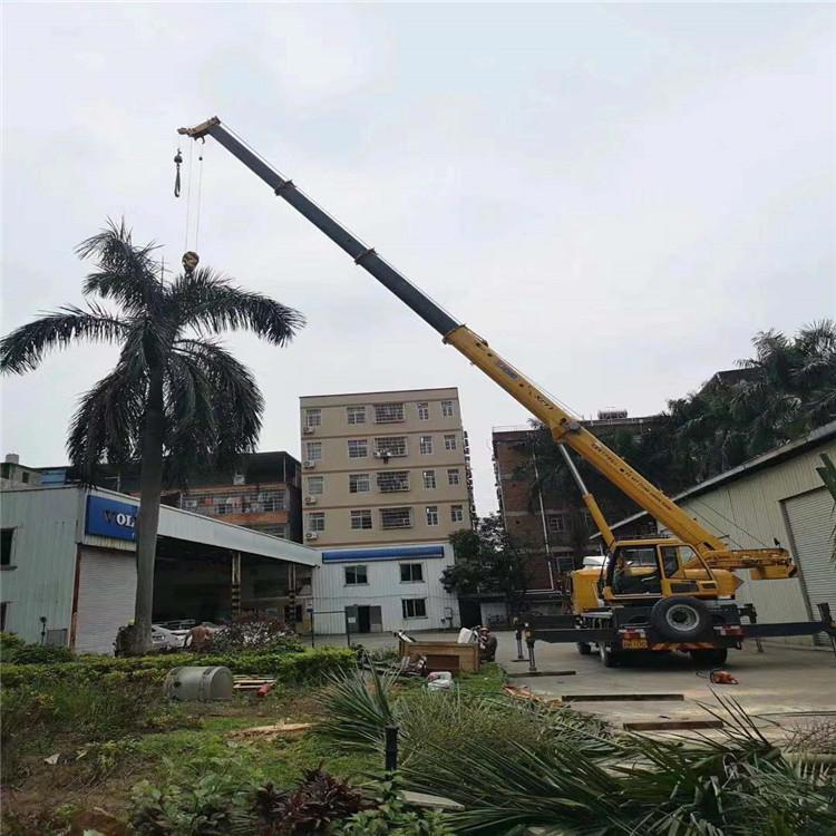 蒙城县汽车吊出租多少钱？全面解析与市场行情